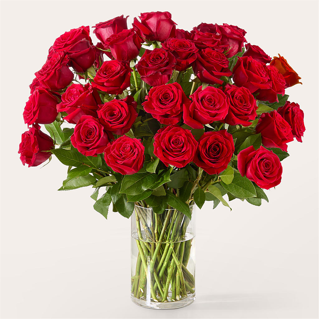 The One Red Rose Bouquet –  All Occasion Florist, Sevierville TN