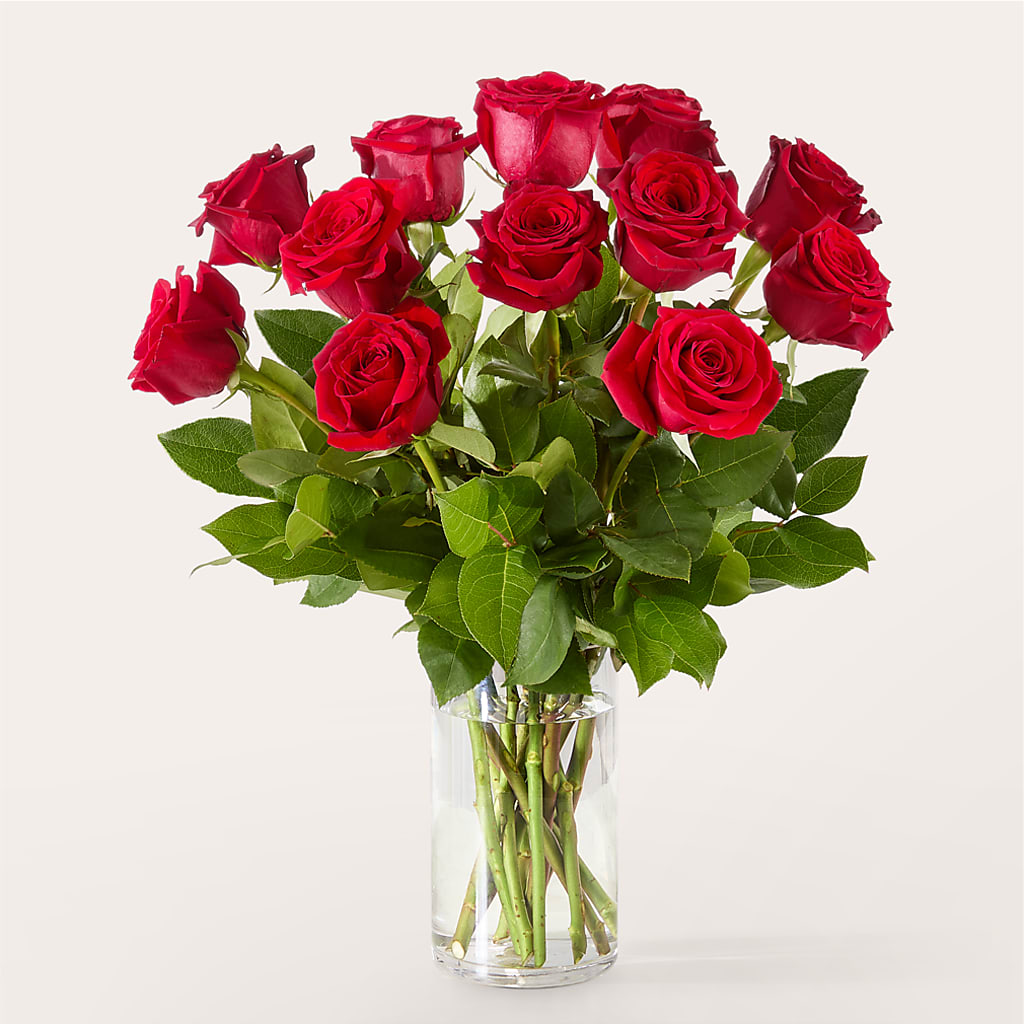 The One Red Rose Bouquet –  All Occasion Florist, Sevierville TN