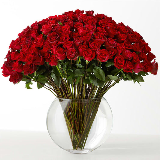 The Idealist –  All Occasion Florist, Sevierville TN