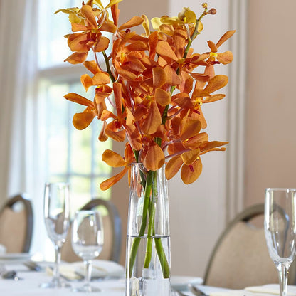 Orange Mokara Bud Vase –  All Occasion Florist, Sevierville TN