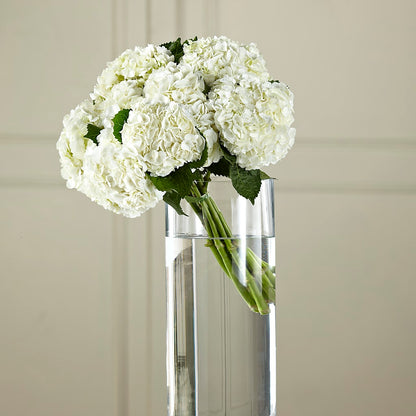 White Hydrangea Hand-Tied Bouquet –  All Occasion Florist, Sevierville TN