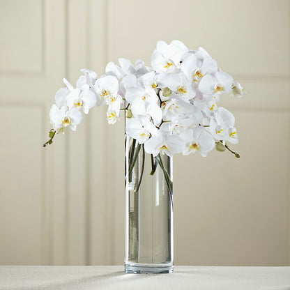 White Phalaenopsis Bouquet –  All Occasion Florist, Sevierville TN