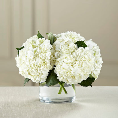 White Hydrangea Bouquet –  All Occasion Florist, Sevierville TN